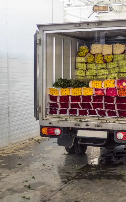 Agriculture & Food Distribution
