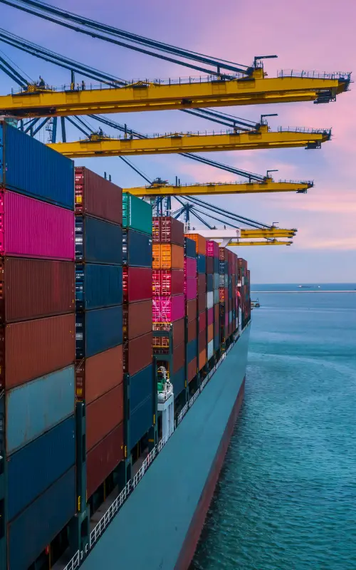 Import & Export Businesses
